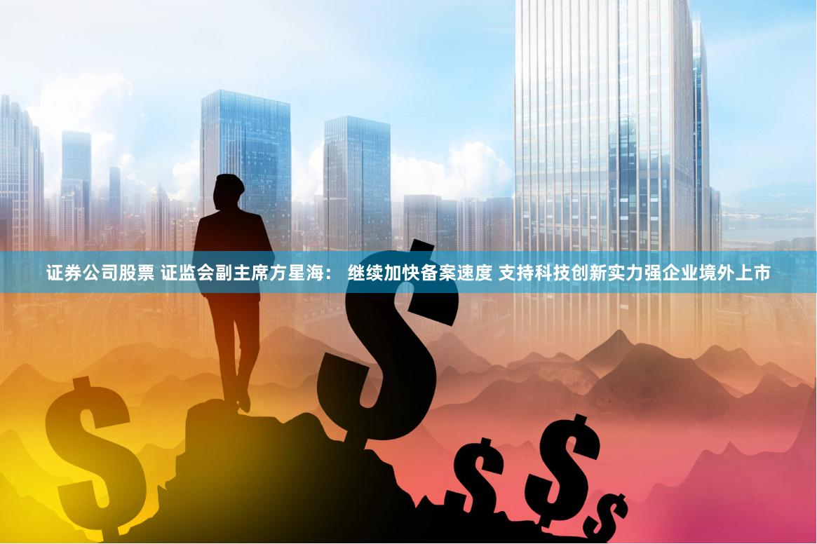 证券公司股票 证监会副主席方星海： 继续加快备案速度 支持科技创新实力强企业境外上市