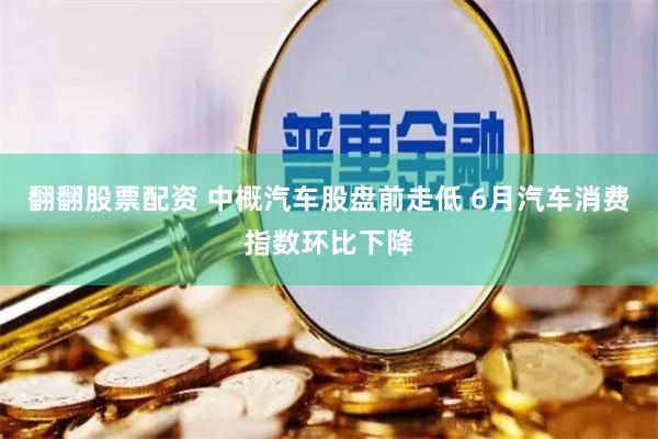 翻翻股票配资 中概汽车股盘前走低 6月汽车消费指数环比下降