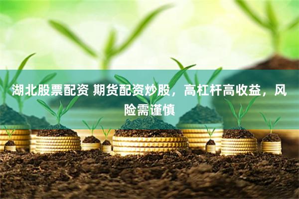 湖北股票配资 期货配资炒股，高杠杆高收益，风险需谨慎